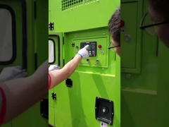 Diesel generator professionele vervaardiging